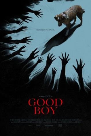 Good Boy Good Boy