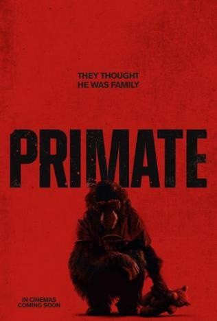 Primate