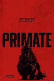 Primate