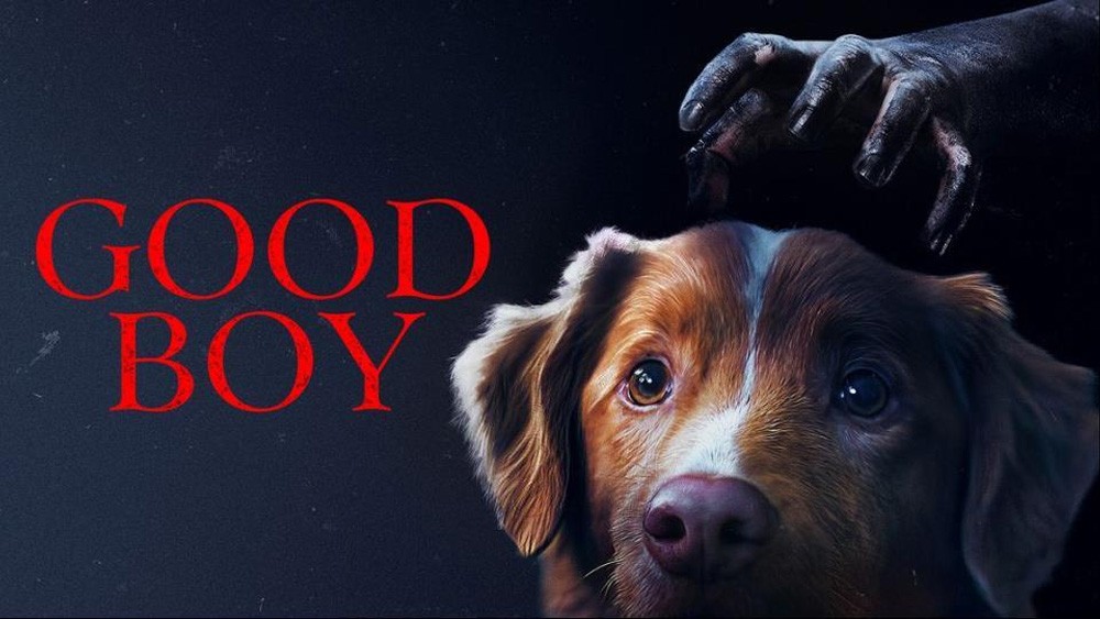 Good Boy